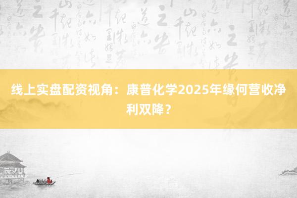 线上实盘配资视角：康普化学2025年缘何营收净利双降？