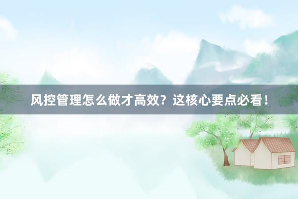 风控管理怎么做才高效？这核心要点必看！