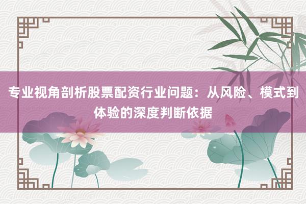 专业视角剖析股票配资行业问题：从风险、模式到体验的深度判断依据